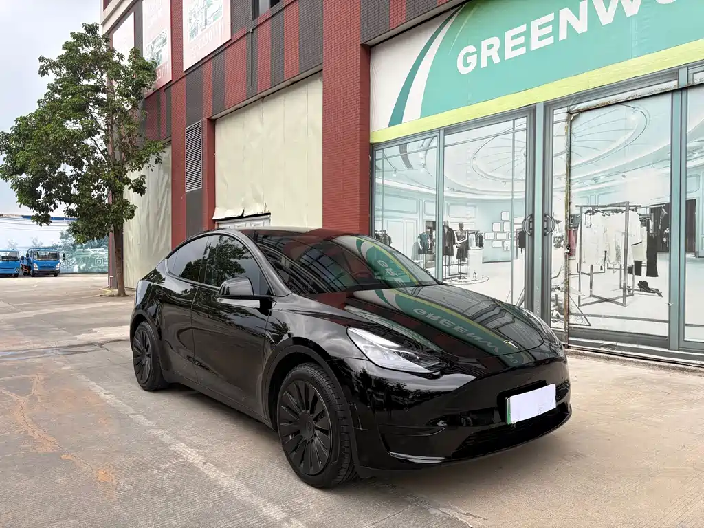 Tesla Model Y — фото 3