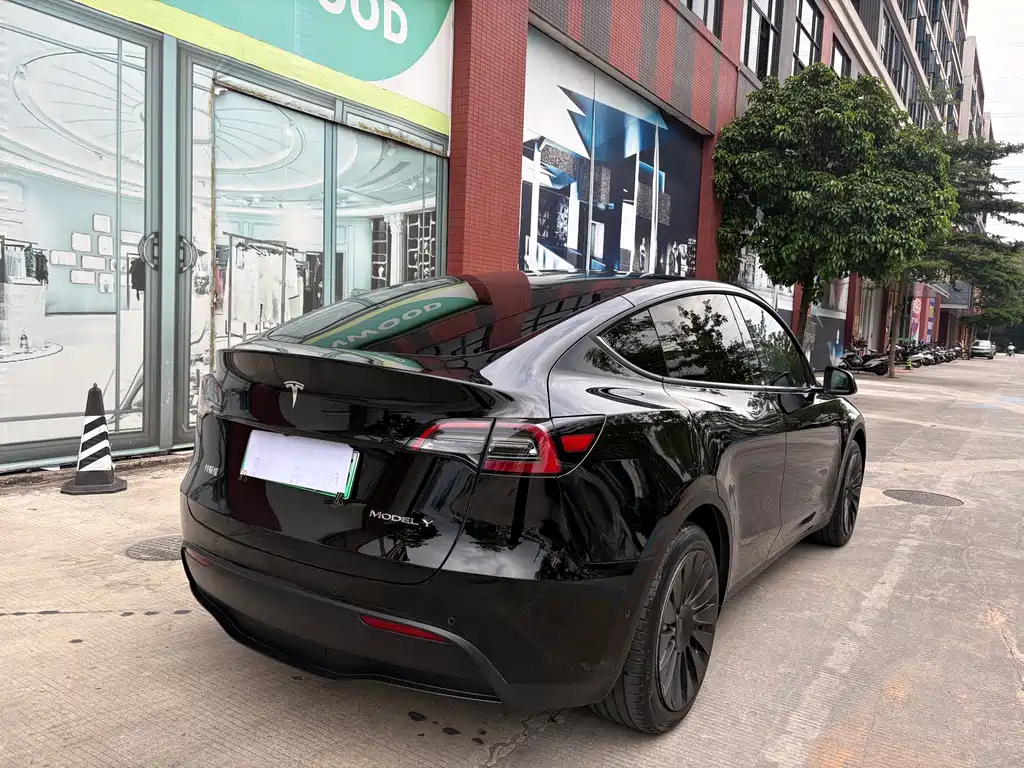 Tesla Model Y — фото 4