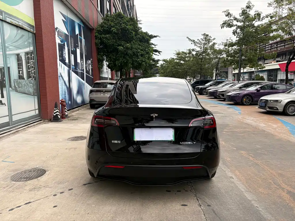 Tesla Model Y — фото 5