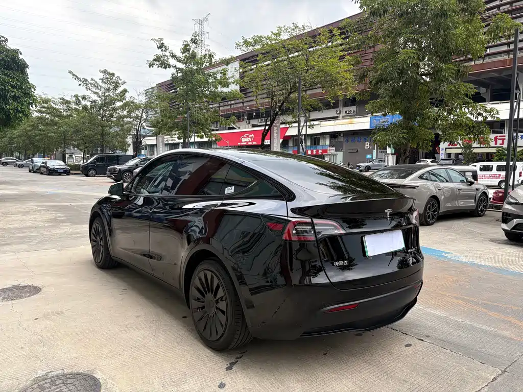 Tesla Model Y — фото 6