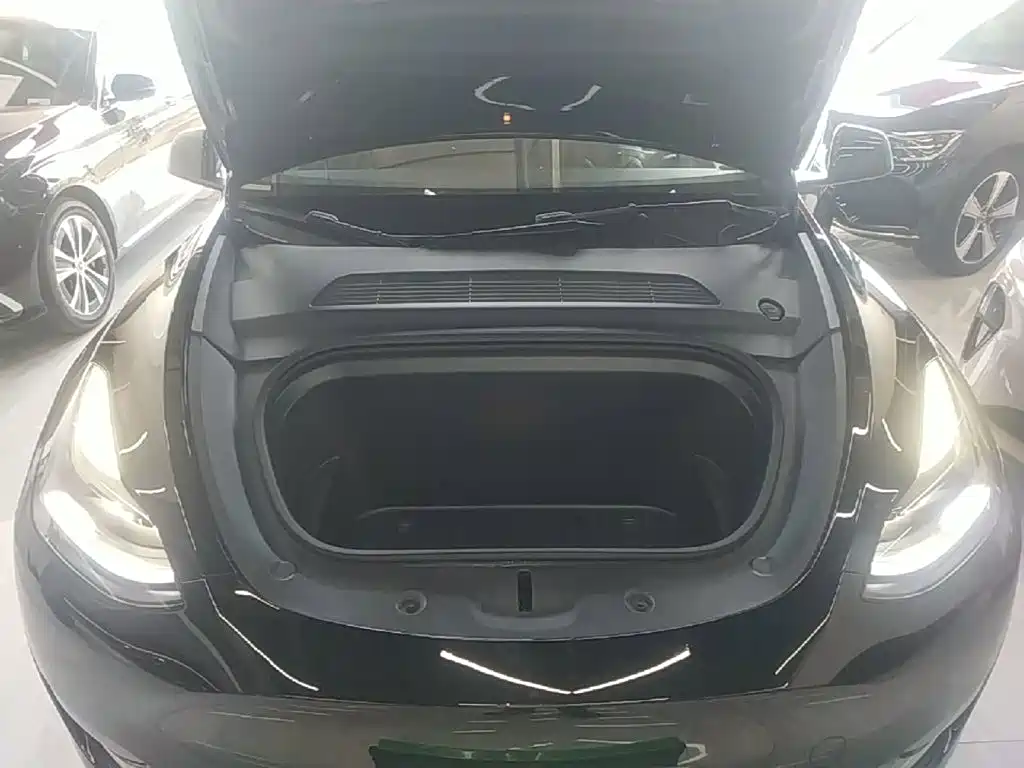 Tesla Model Y — фото 20