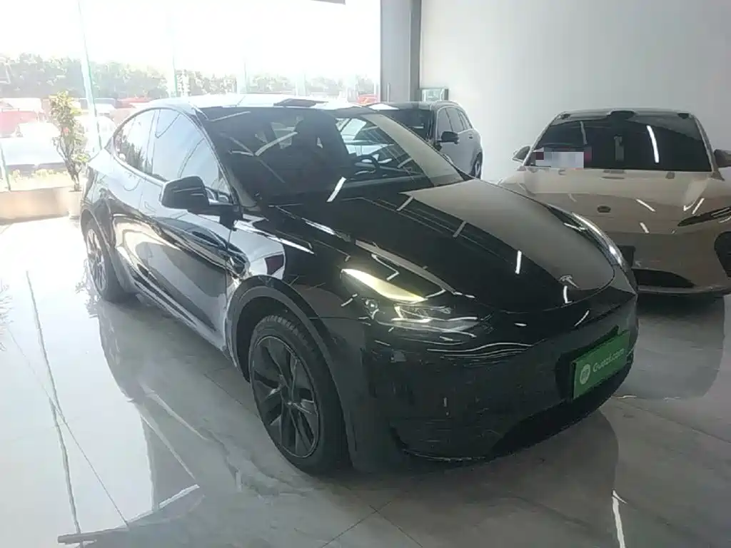 Tesla Model Y — фото 4