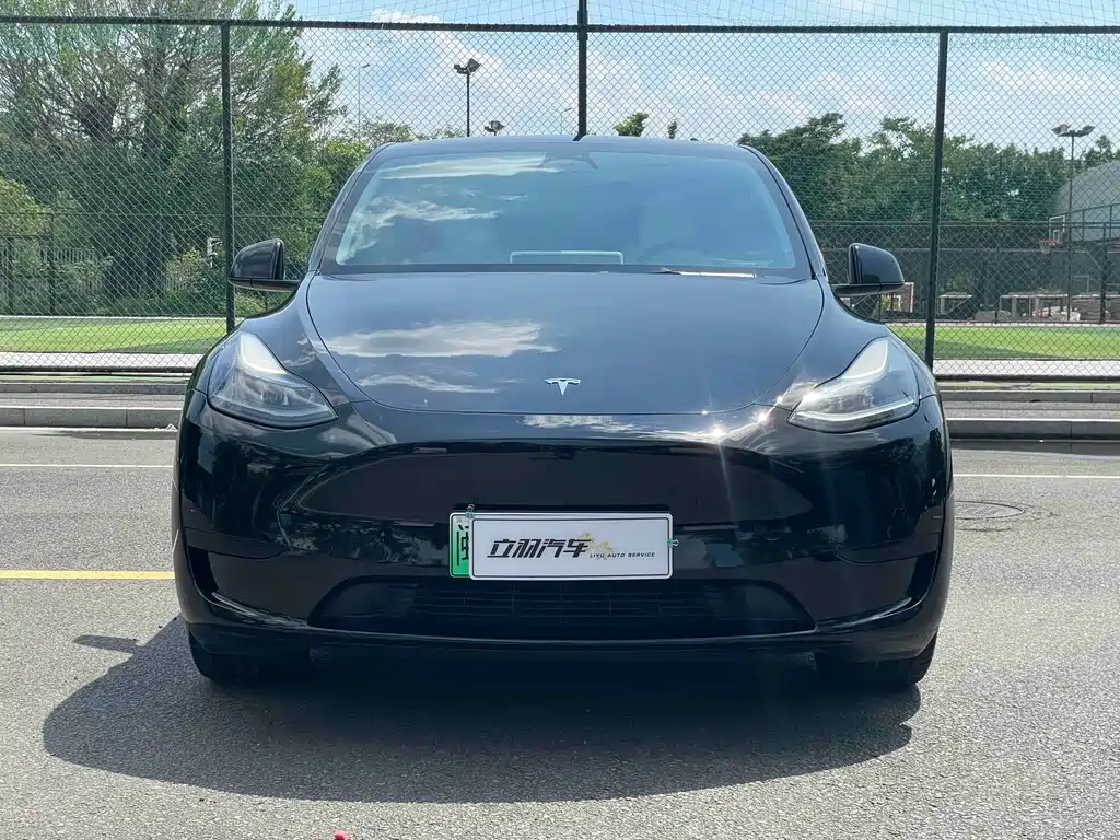 Tesla Model Y — фото 2