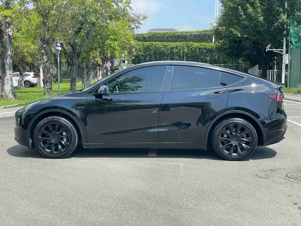Tesla Model Y — фото 13