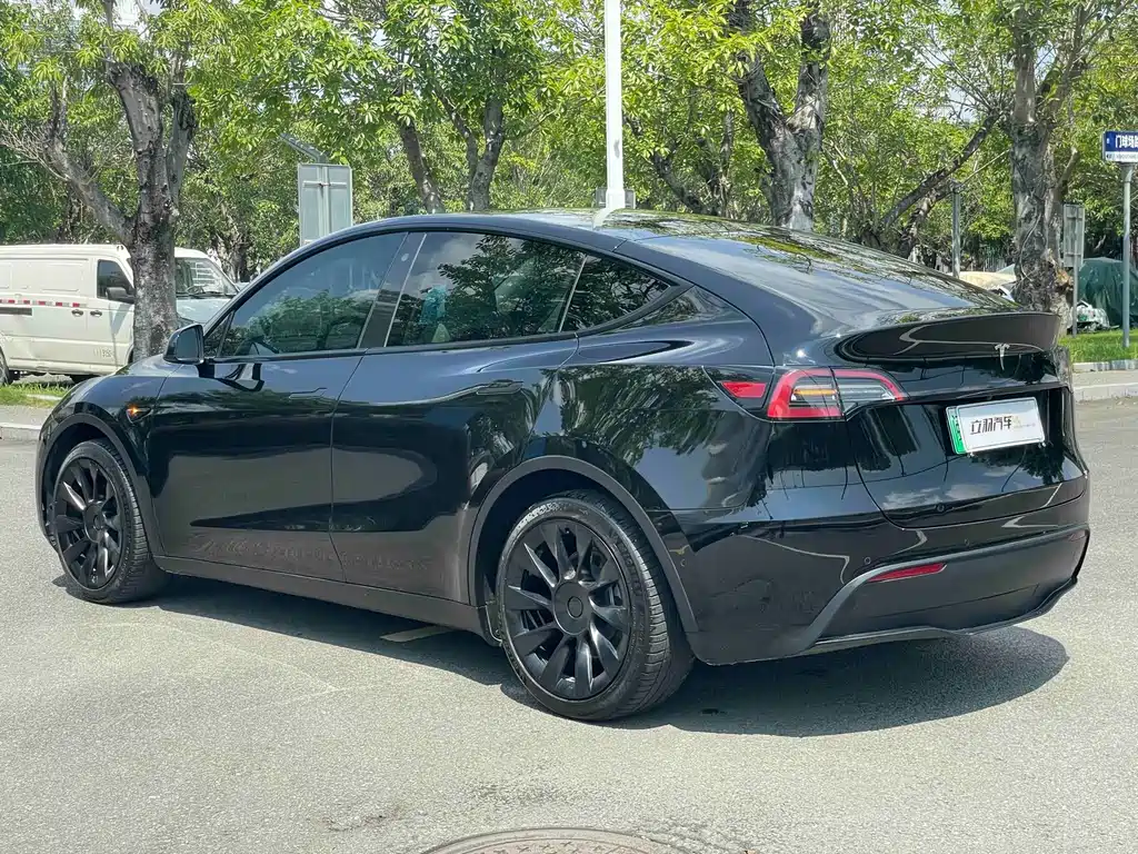 Tesla Model Y — фото 14