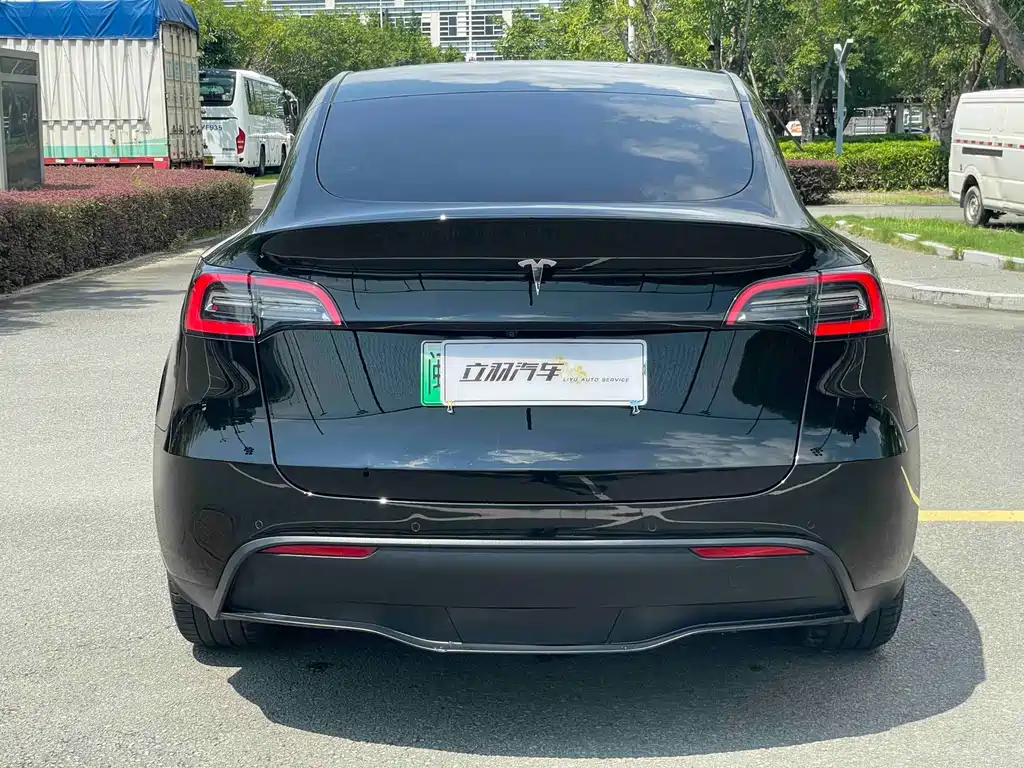 Tesla Model Y — фото 15