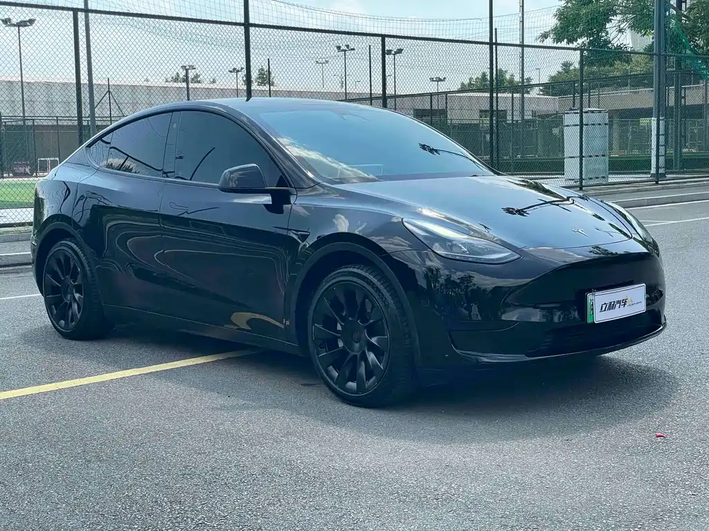 Tesla Model Y — фото 3