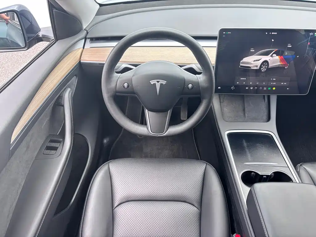 Tesla Model Y — фото 14