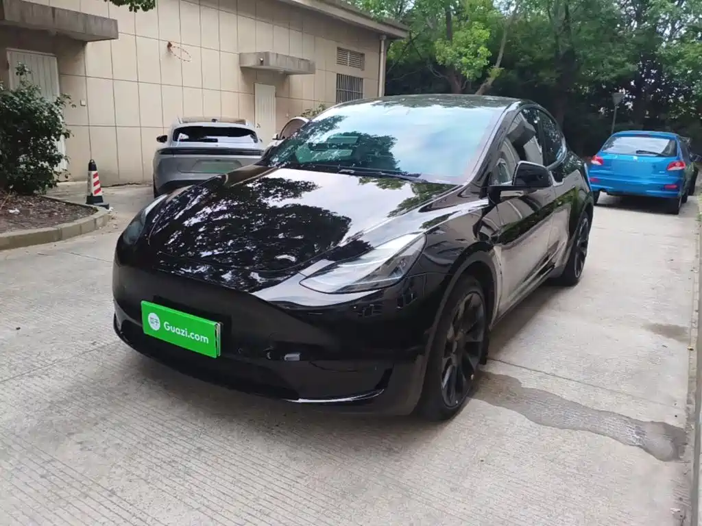 Tesla Model Y — фото 2