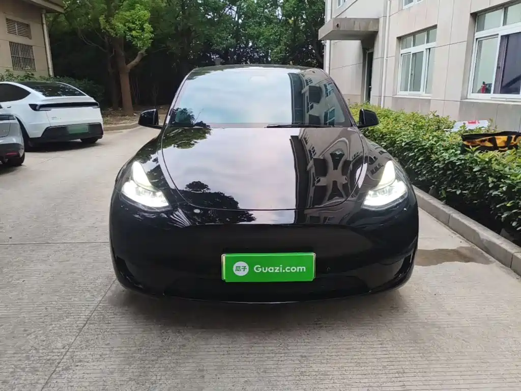 Tesla Model Y — фото 3