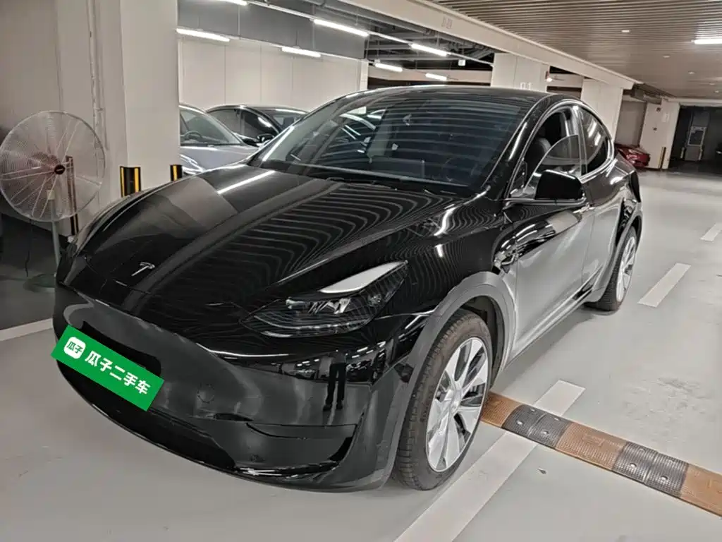 Tesla Model Y — фото 2