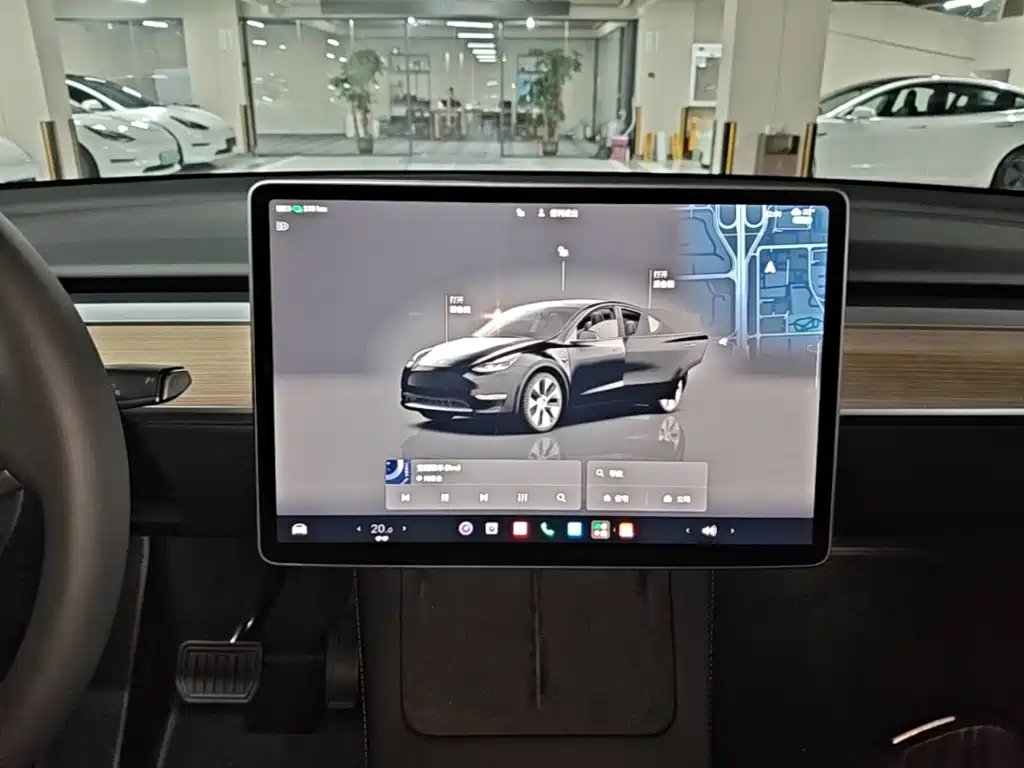 Tesla Model Y — фото 13