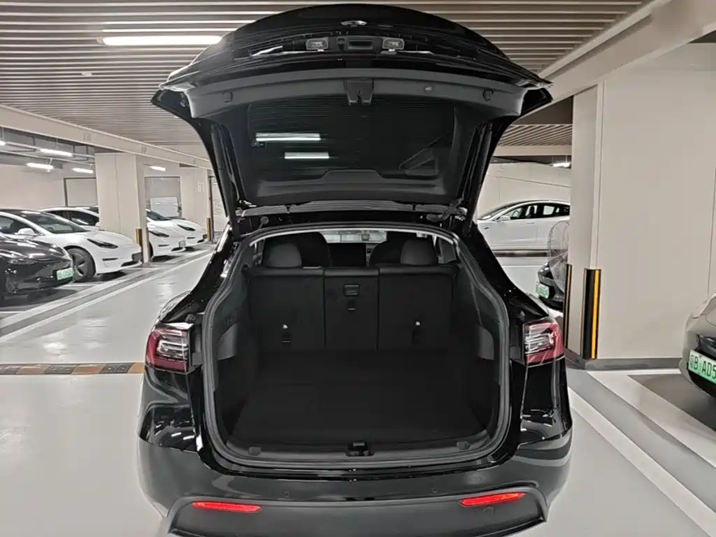 Tesla Model Y — фото 19