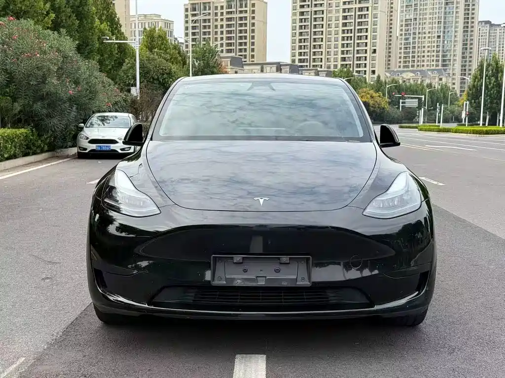 Tesla Model Y — фото 2
