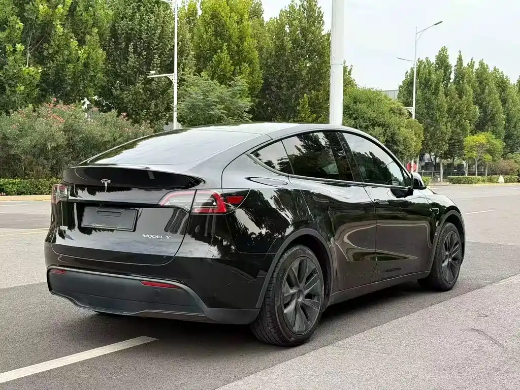Tesla Model Y — фото 7