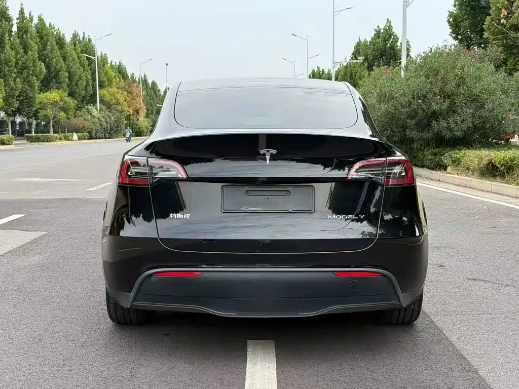 Tesla Model Y — фото 8