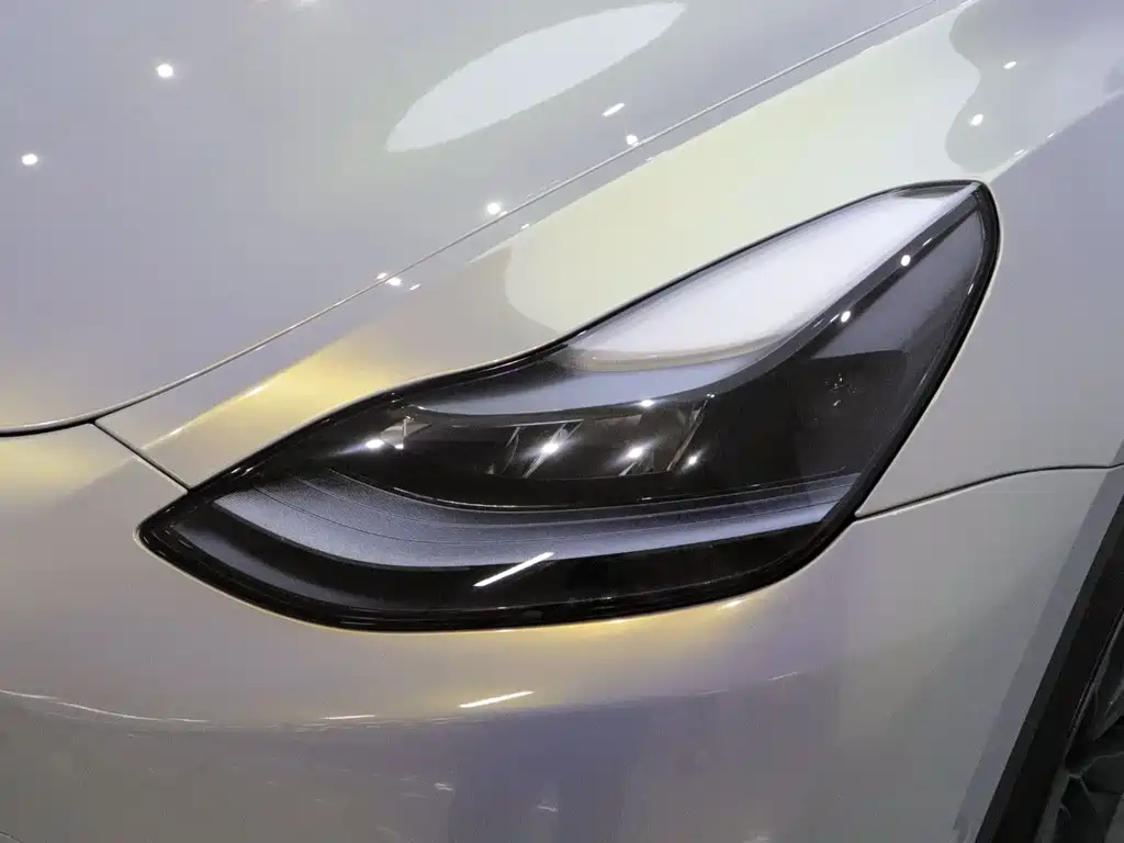 Tesla Model Y — фото 18