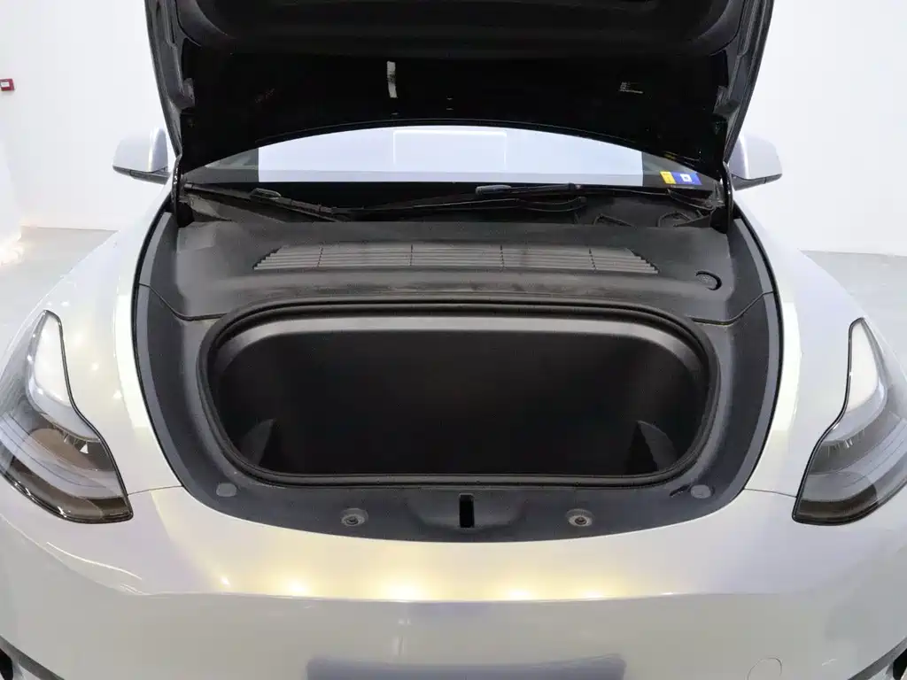 Tesla Model Y — фото 20