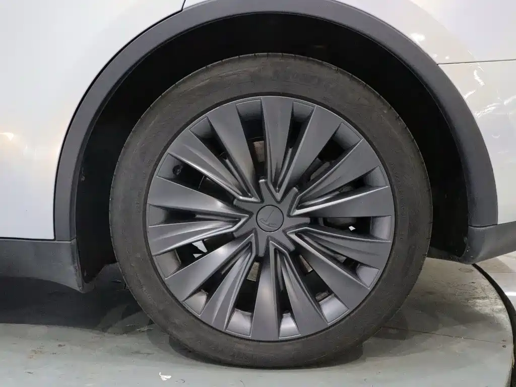 Tesla Model Y — фото 21