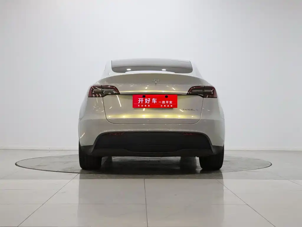 Tesla Model Y — фото 5