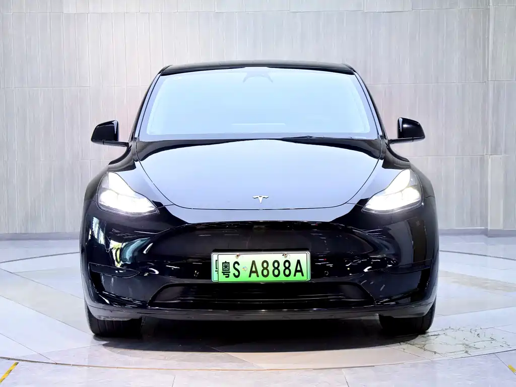 Tesla Model Y — фото 2