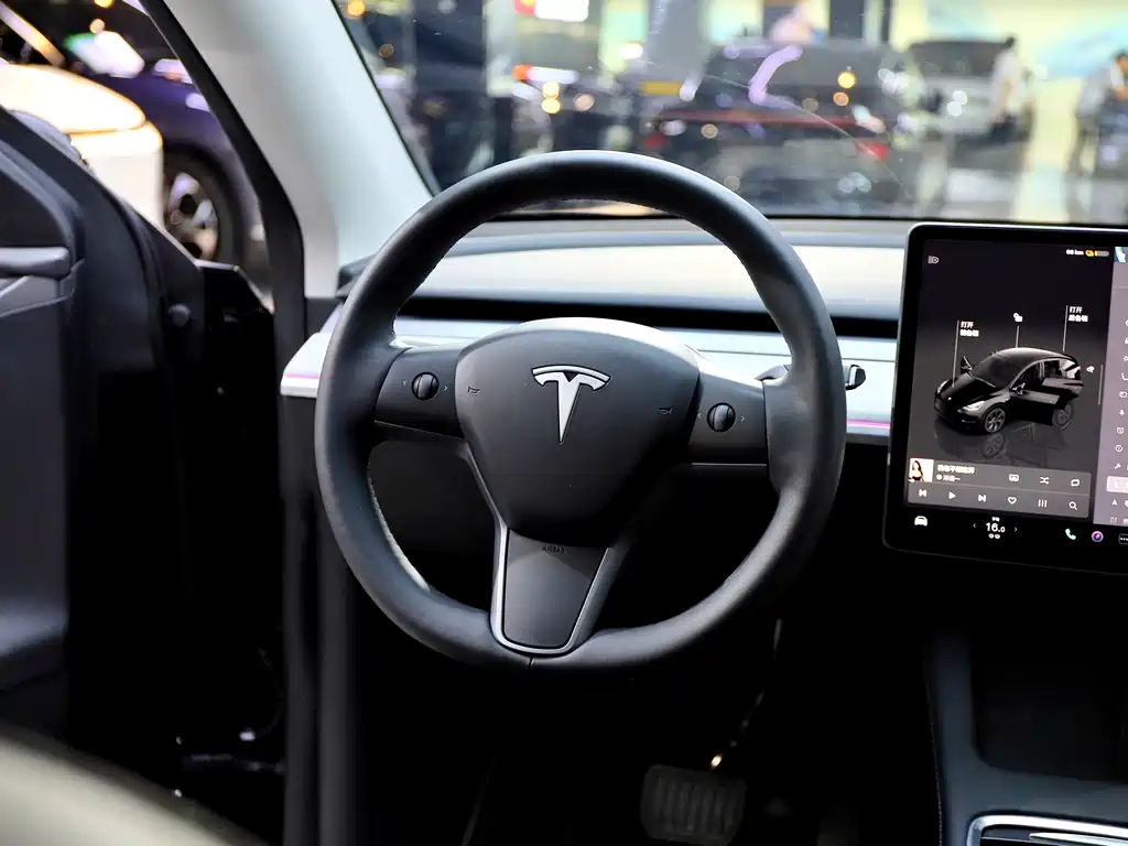 Tesla Model Y — фото 11