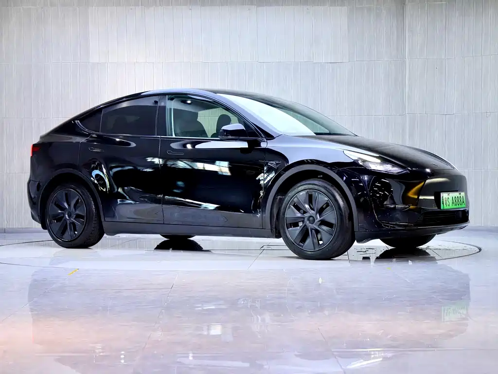 Tesla Model Y — фото 3