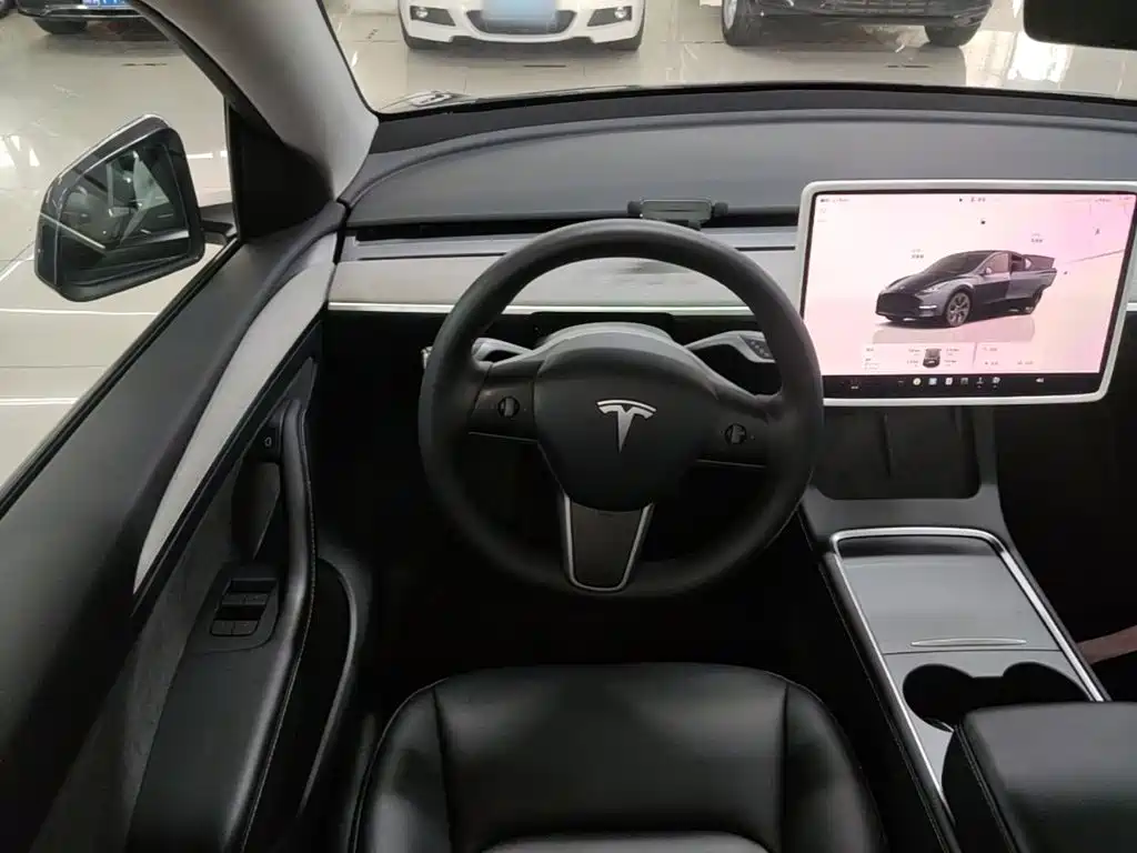 Tesla Model Y — фото 11