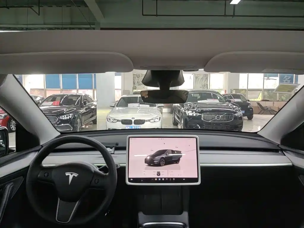 Tesla Model Y — фото 18