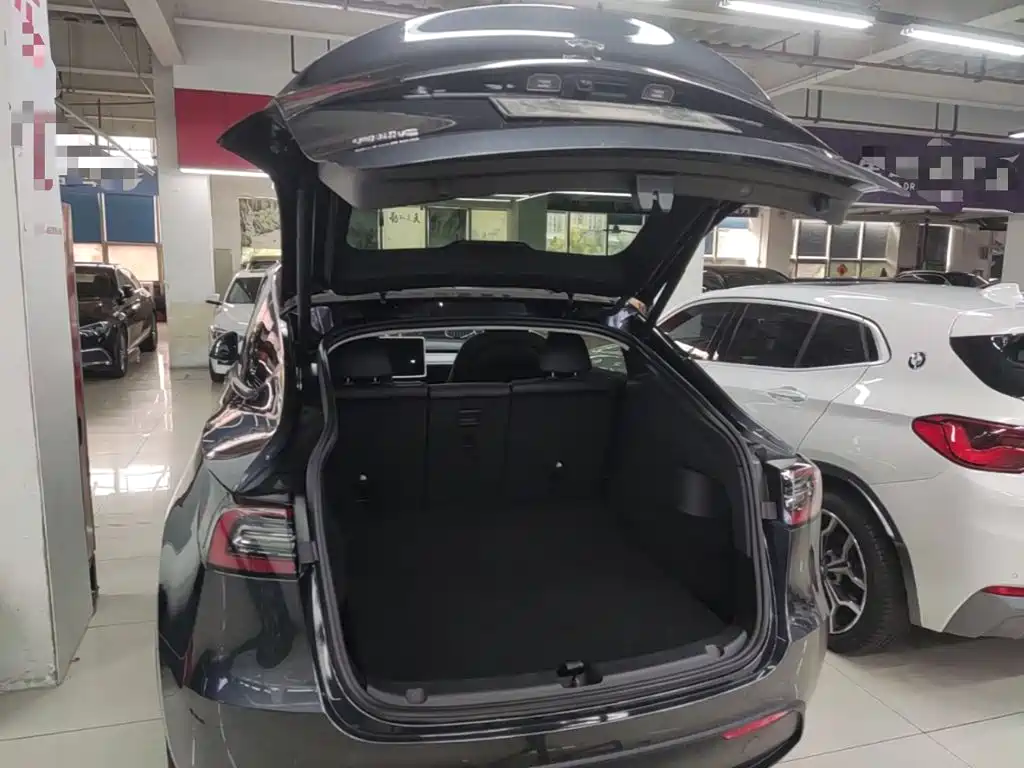 Tesla Model Y — фото 19