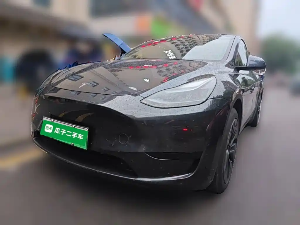 Tesla Model Y — фото 2