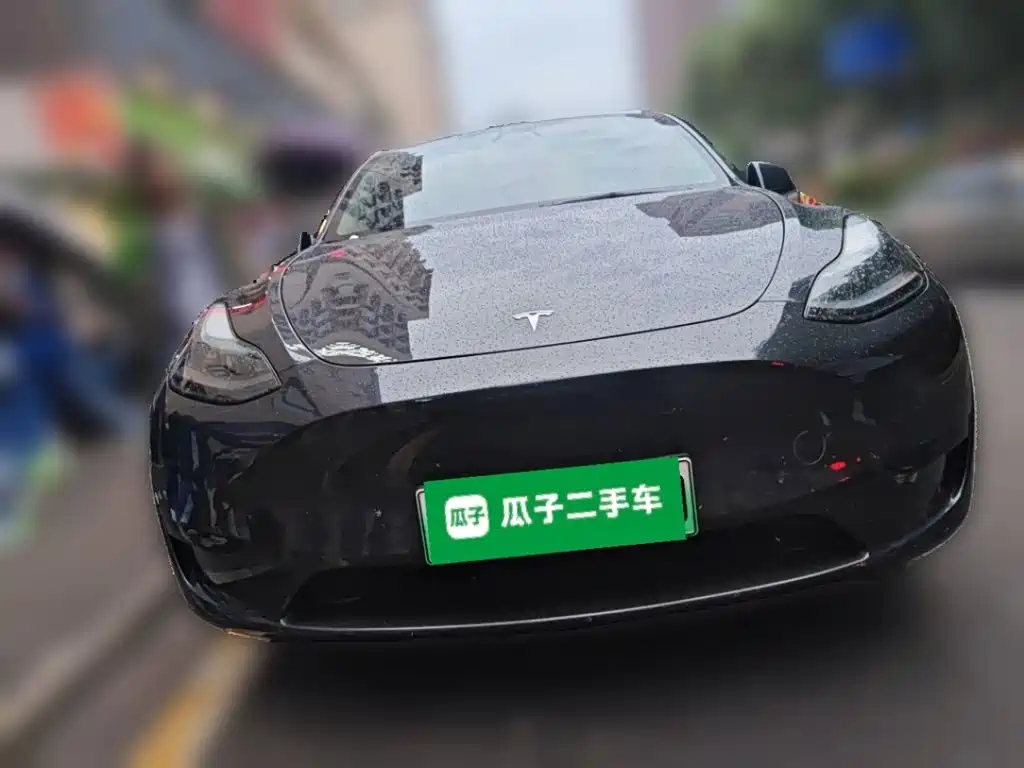 Tesla Model Y — фото 23