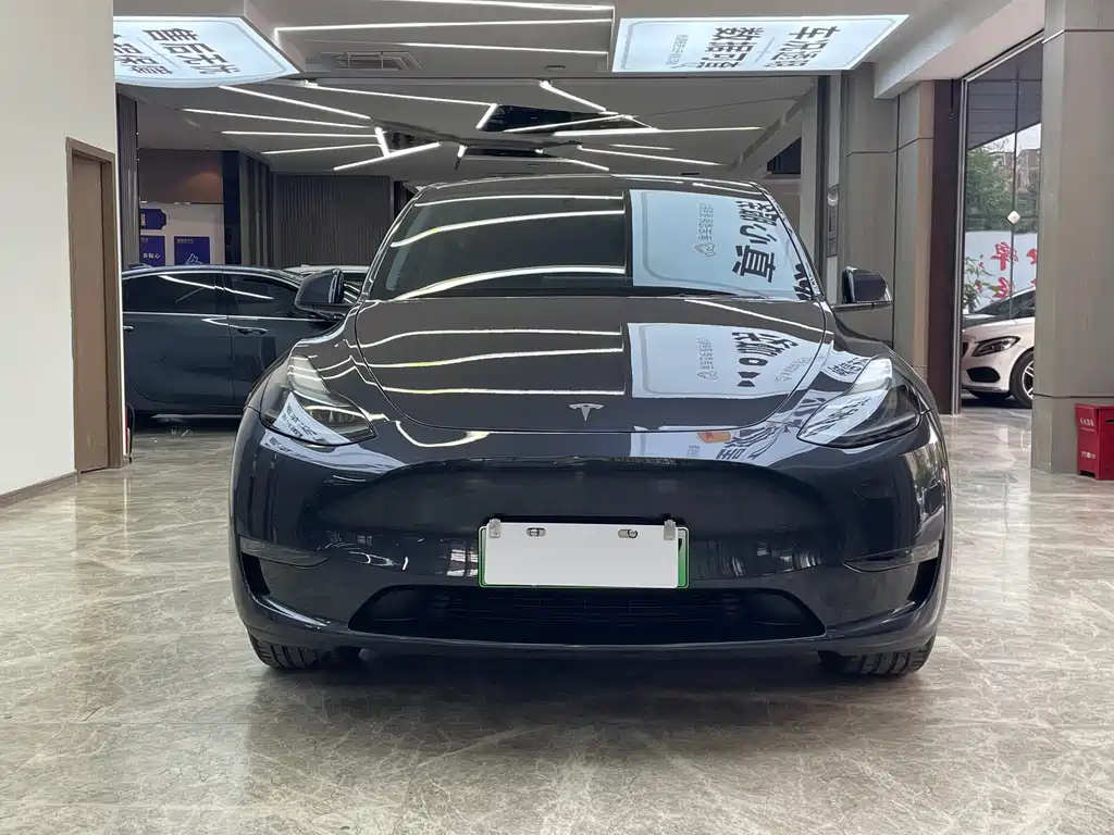 Tesla Model Y — фото 2