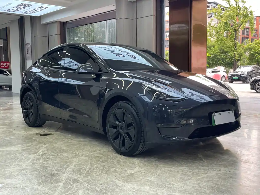 Tesla Model Y — фото 3