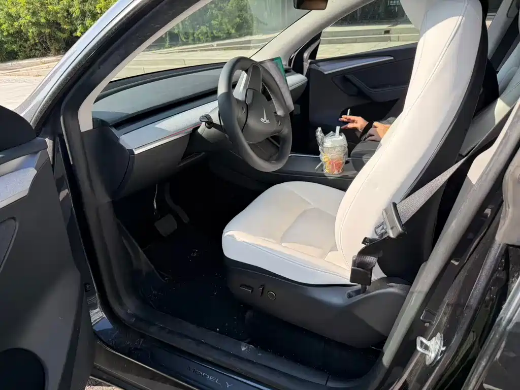 Tesla Model Y — фото 3