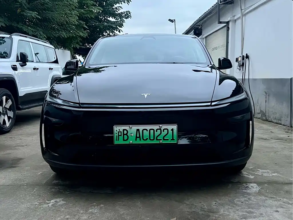 Tesla Model Y — фото 2