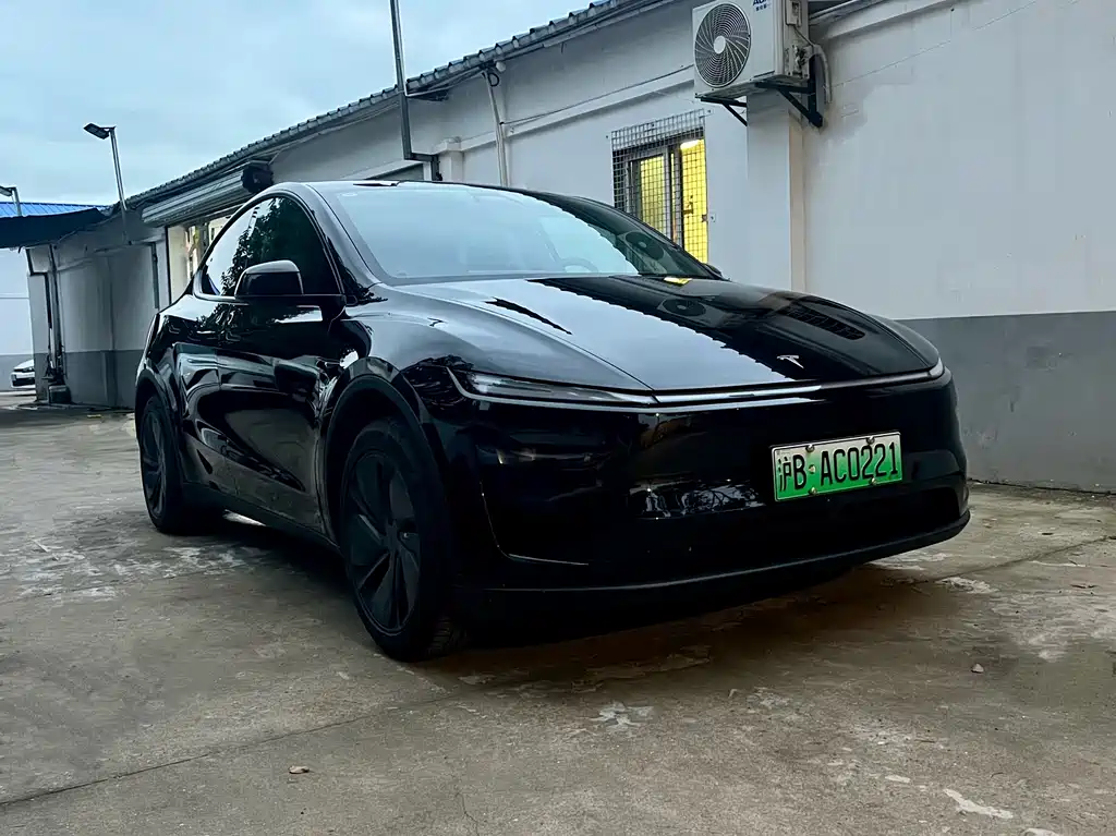 Tesla Model Y — фото 3