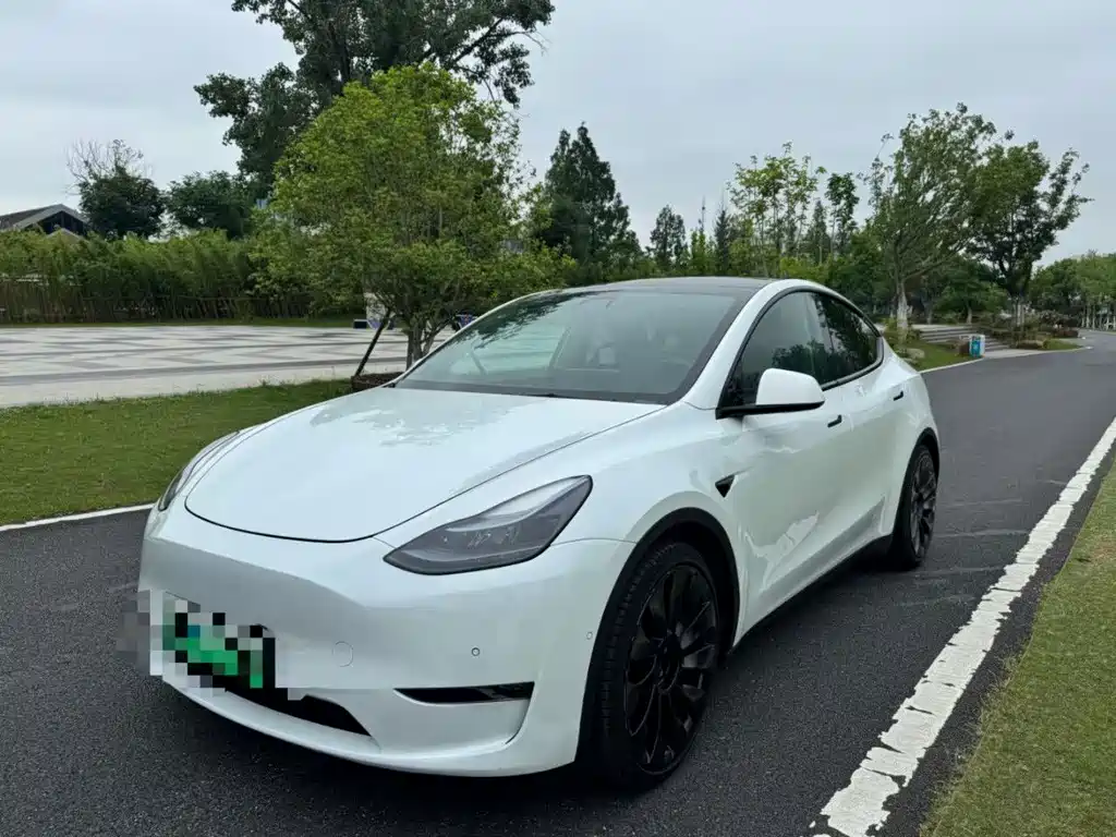 Tesla Model Y — фото 2