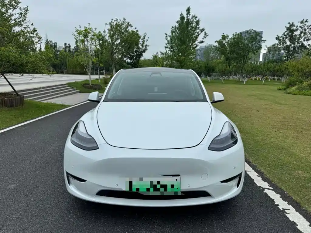 Tesla Model Y — фото 3