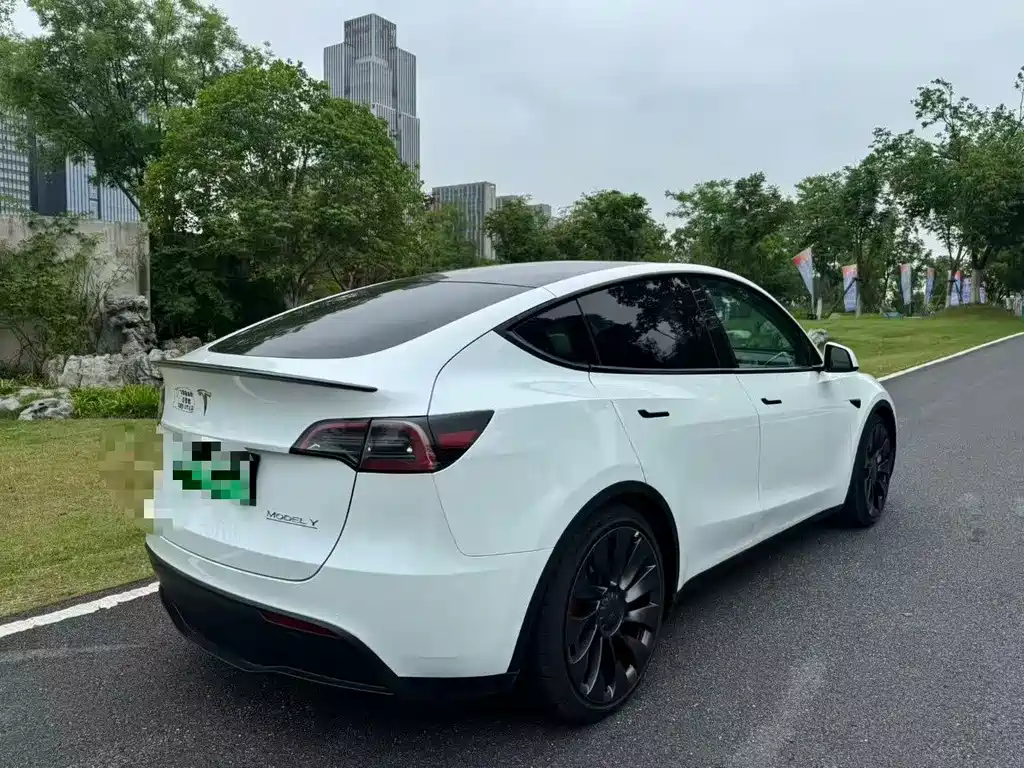 Tesla Model Y — фото 5