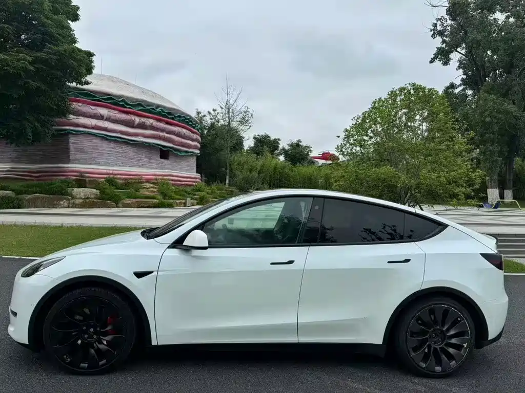 Tesla Model Y — фото 6