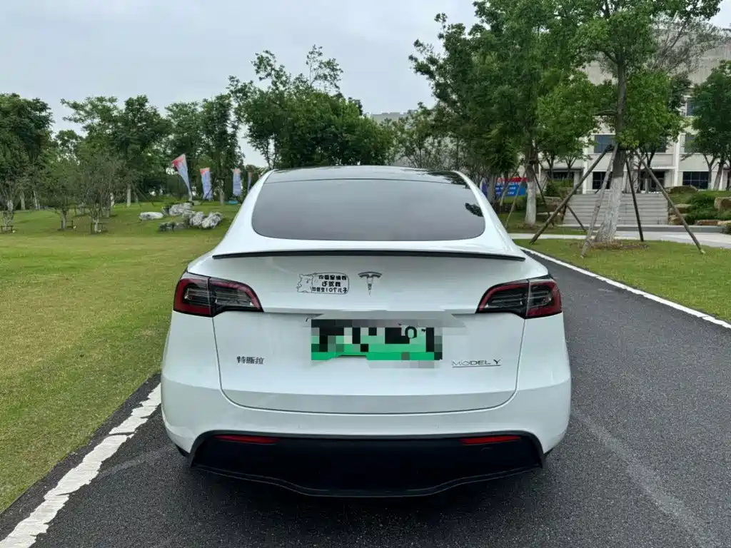 Tesla Model Y — фото 8