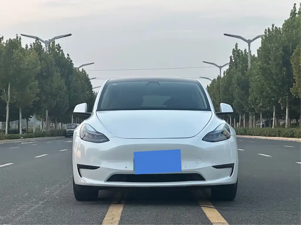 Tesla Model Y — фото 2