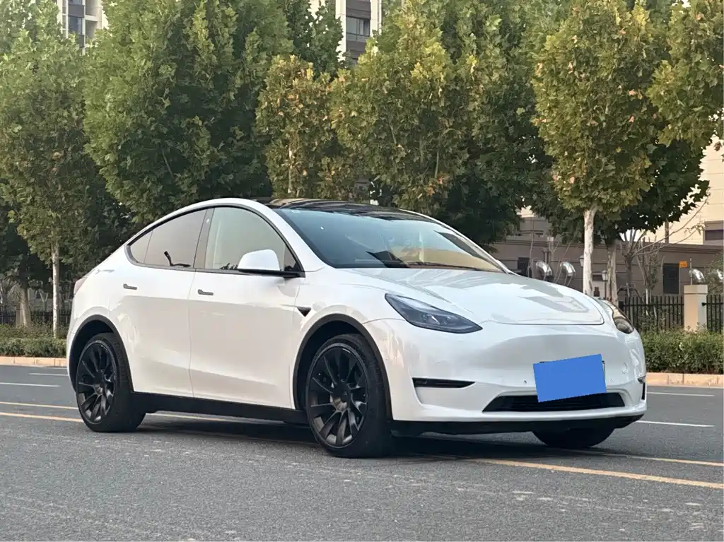 Tesla Model Y — фото 3
