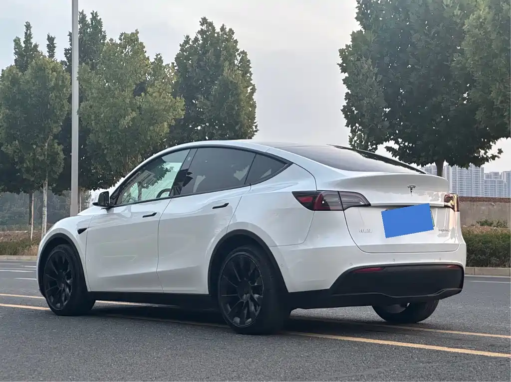 Tesla Model Y — фото 7