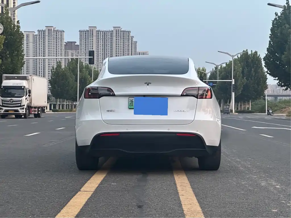 Tesla Model Y — фото 8