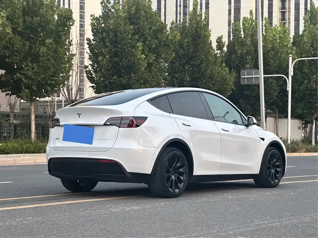 Tesla Model Y — фото 9