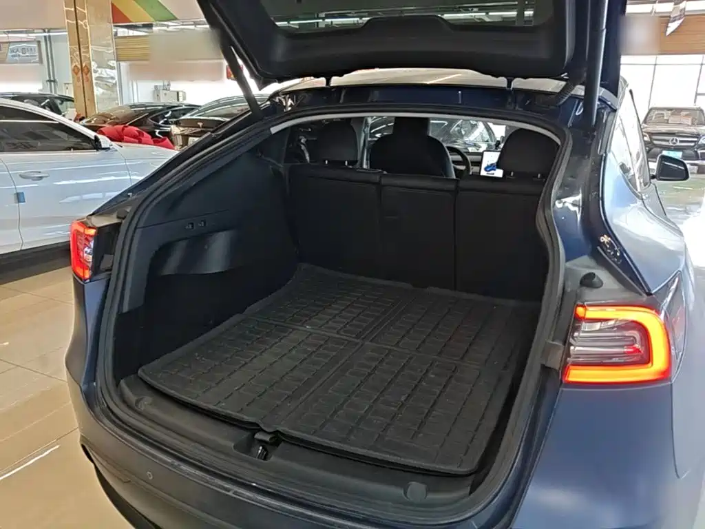 Tesla Model Y — фото 19