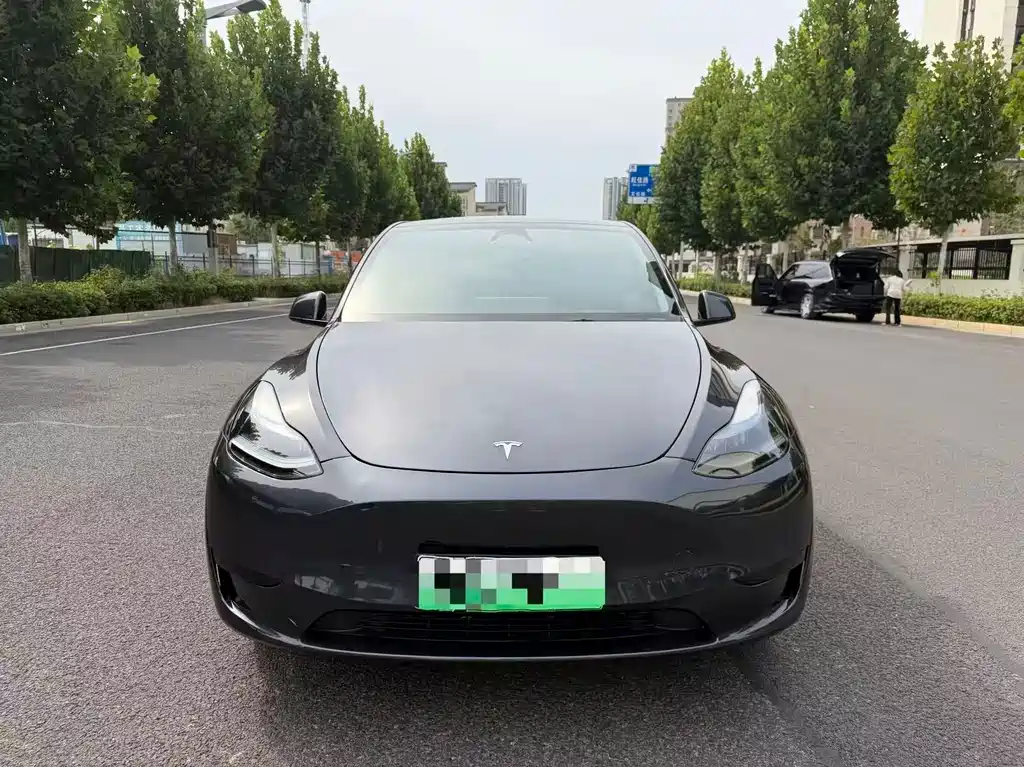 Tesla Model Y — фото 2