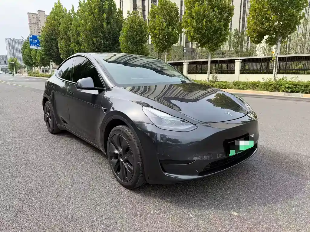Tesla Model Y — фото 3